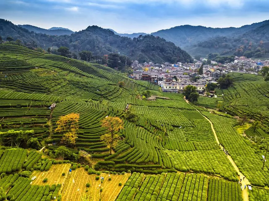 Experience Local Life in Meijiawu Tea Village