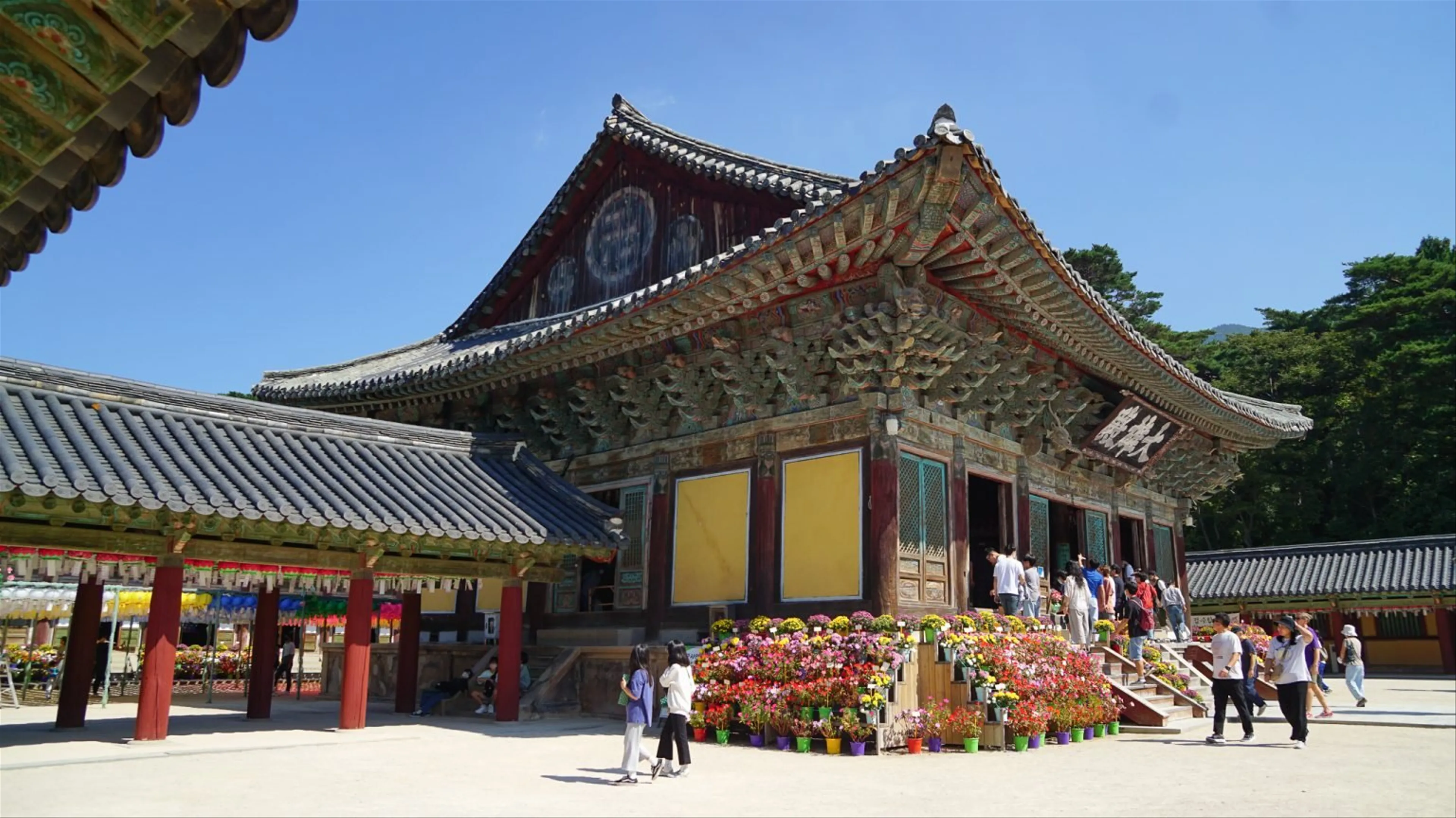 Discover the Tranquil Beauty of Gyeongju's Ancient Tombs and Temples