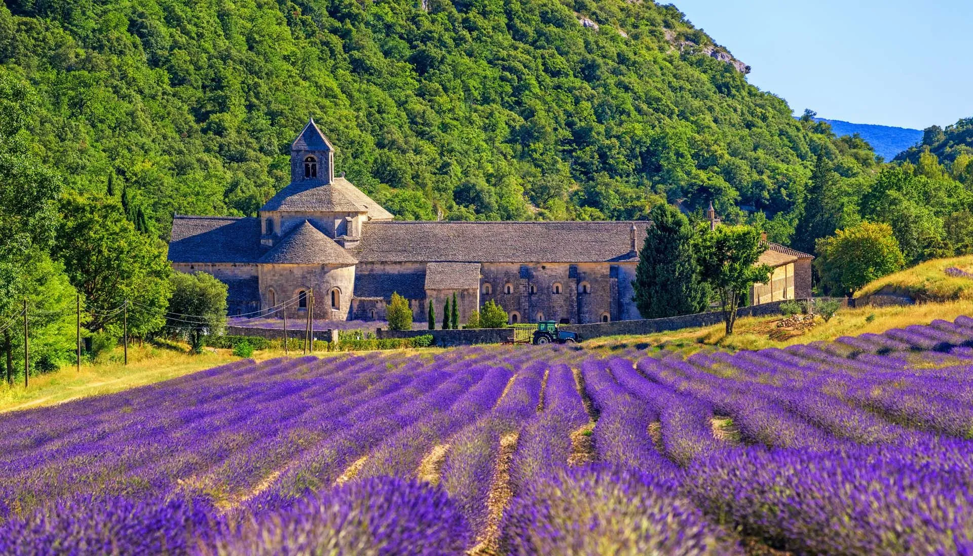 Bringing Provence Home: Lavender Products and Souvenirs