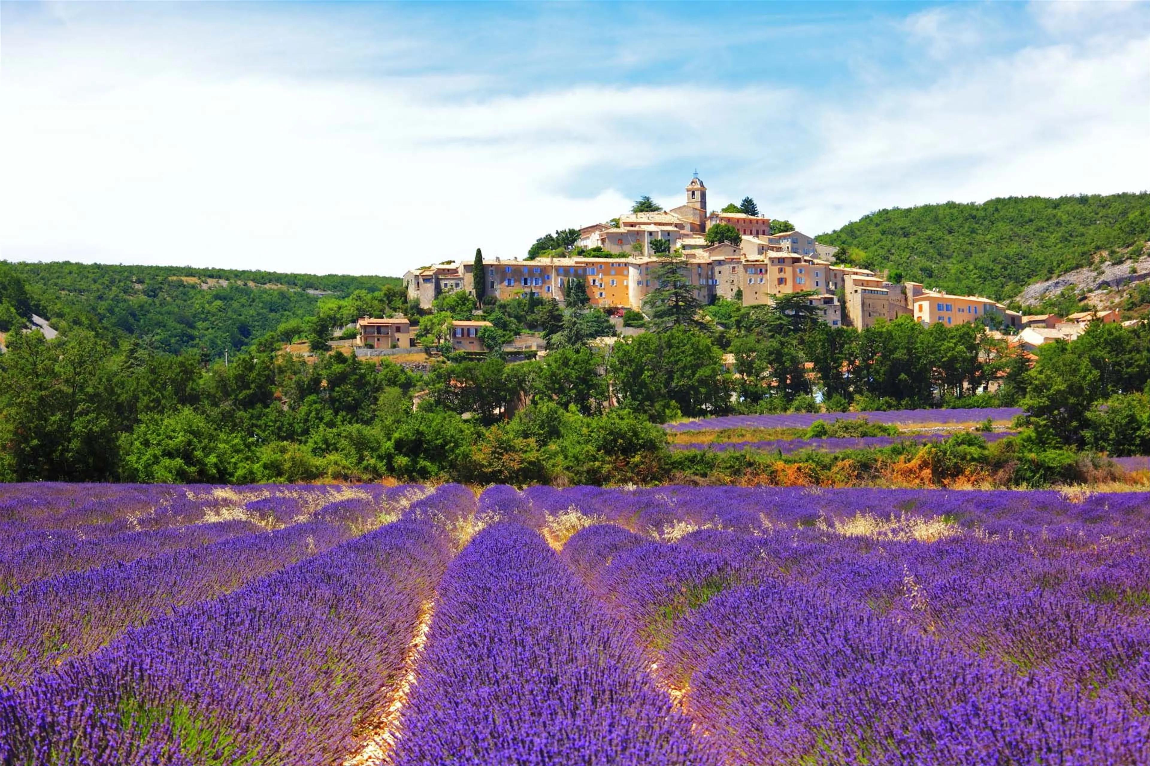 From Lavender Fields to Hidden Villages: Discovering the Enchantment of Provence