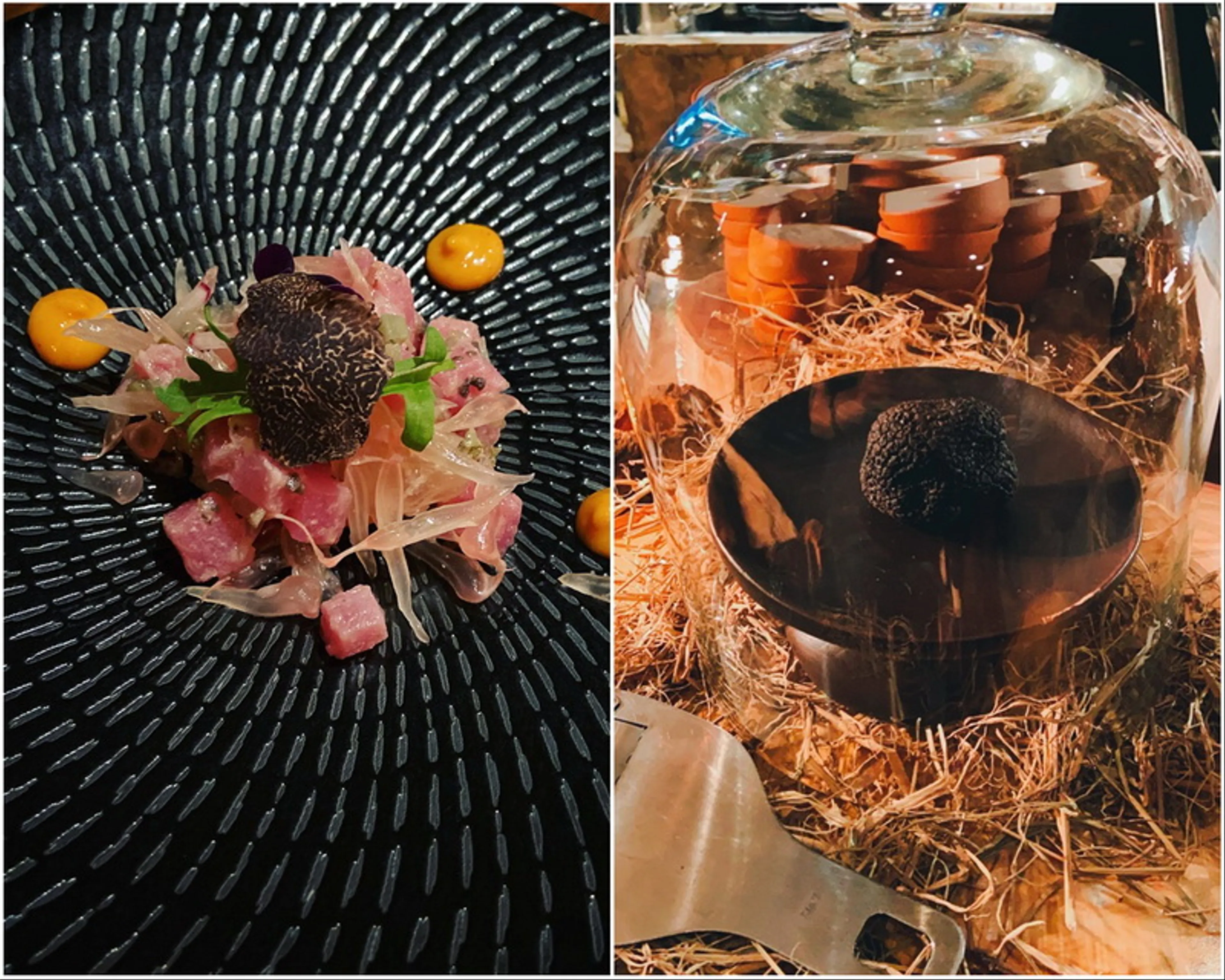 Thưởng Thức Hương Vị Truffle Độc Đáo Tại Périgord, Pháp