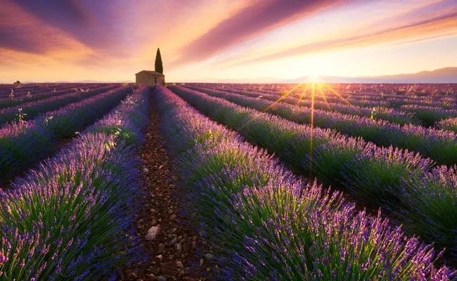 Những địa điểm nổi tiếng tại Provence để chụp ảnh