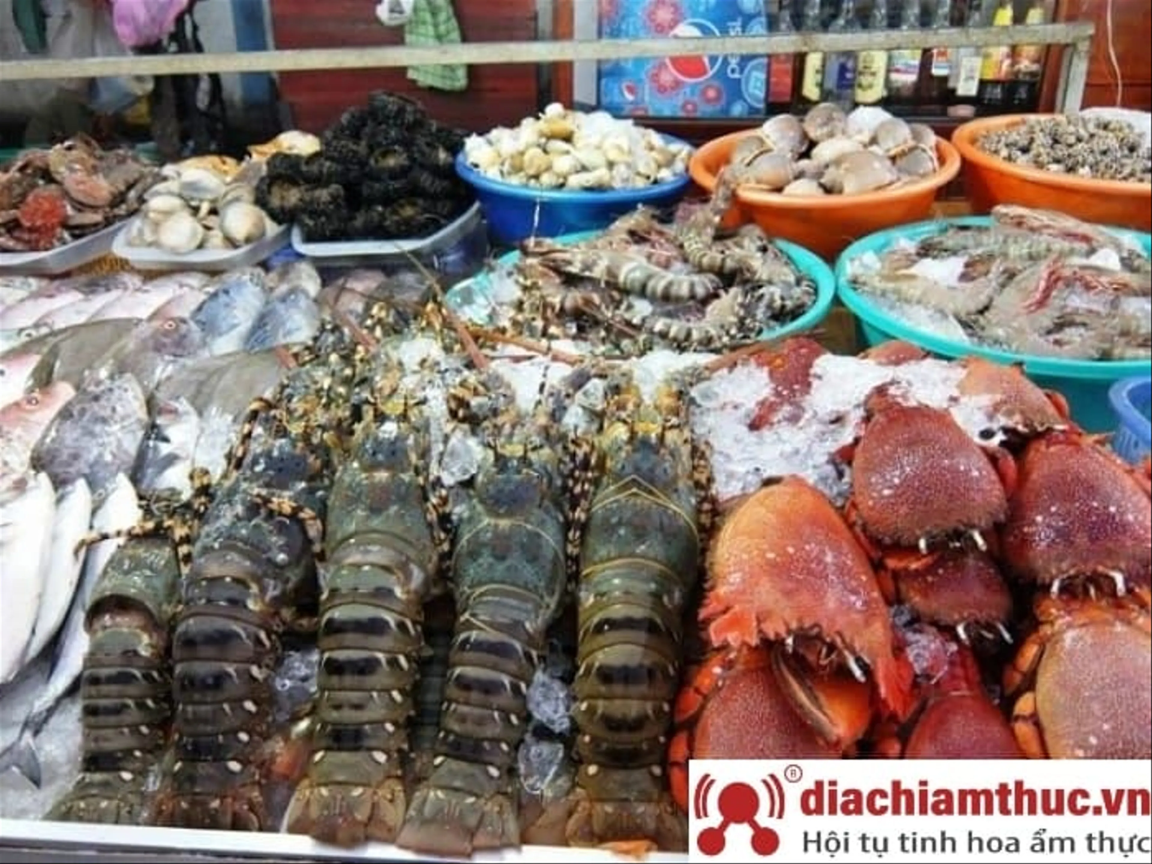 Thưởng thức hải sản tươi ngon tại Chợ Đầm Nha Trang