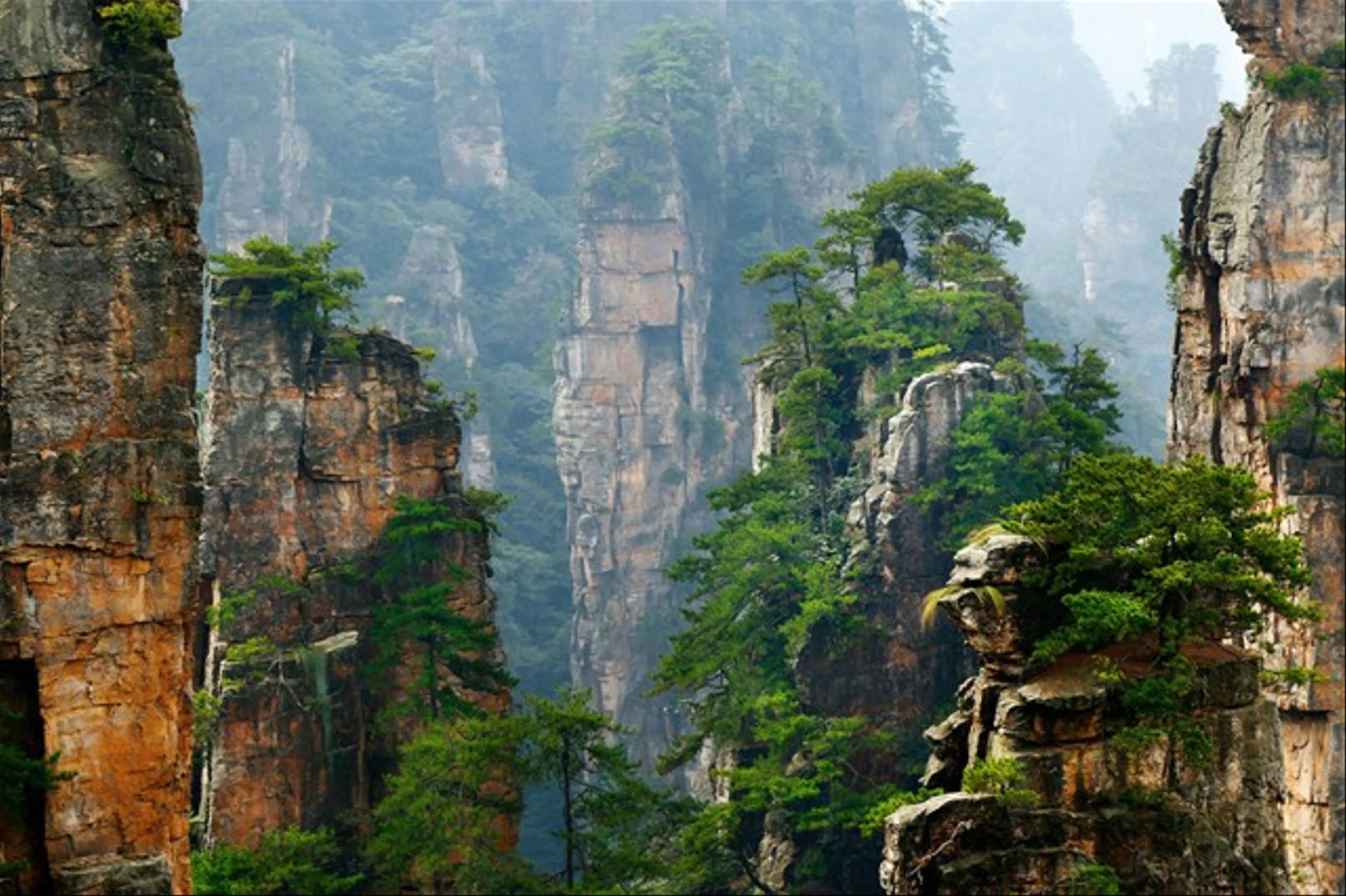 Khám Phá Hẻm Núi Zhangjiajie: Điểm Đến Của Những Kỳ Quan Thiên Nhiên