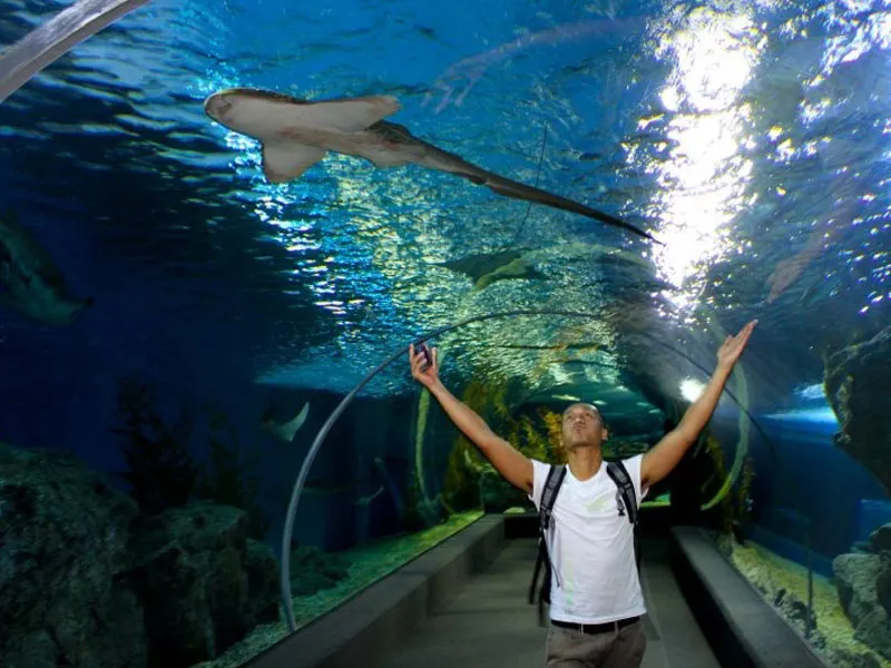 sea-life-bangkok-ocean-world - Cẩm nang Du lịch Tự túc