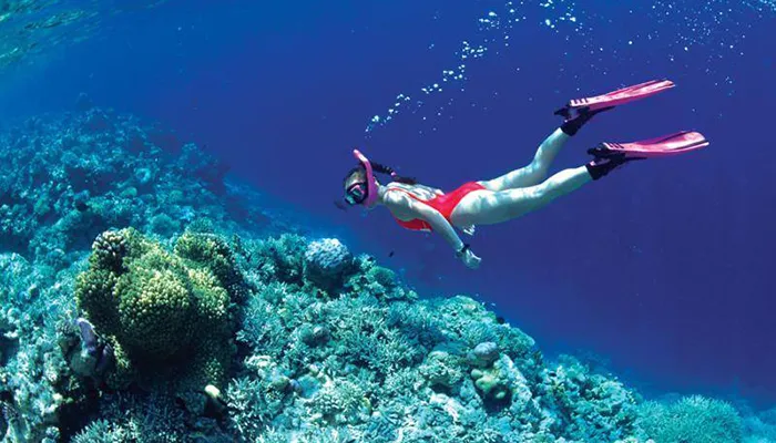 Khám phá kho báu đẹp nhất Nha Trang tại Hòn Mun Hòn Một