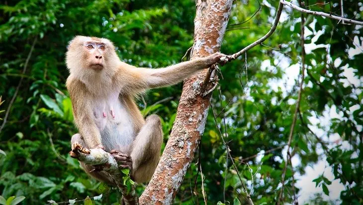 Tour tham quan công viên quốc gia Khao Yai (tour riêng)