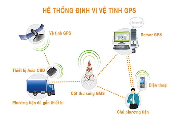 Thời gian hoạt động và cách di chuyển