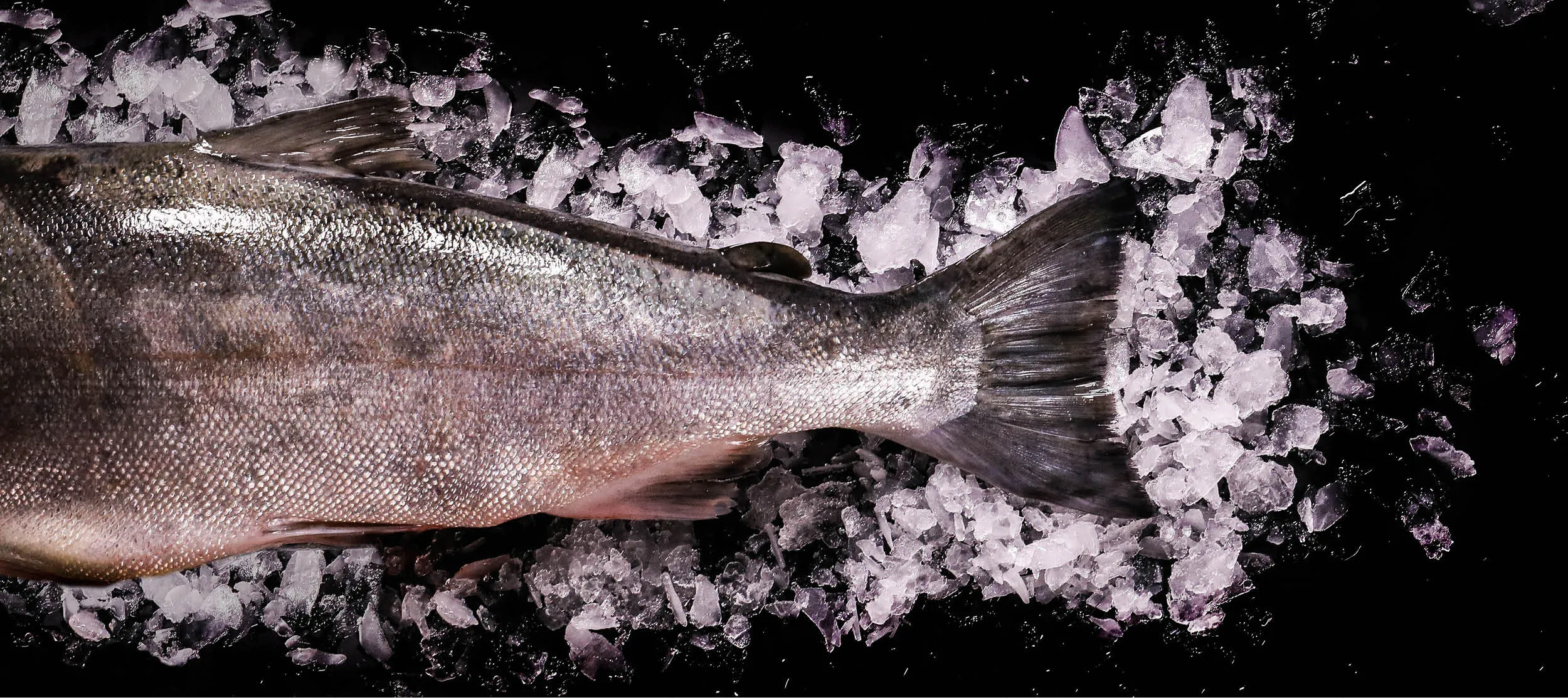 The Pacific Northwest's Bounty: Fresh Seafood Delights