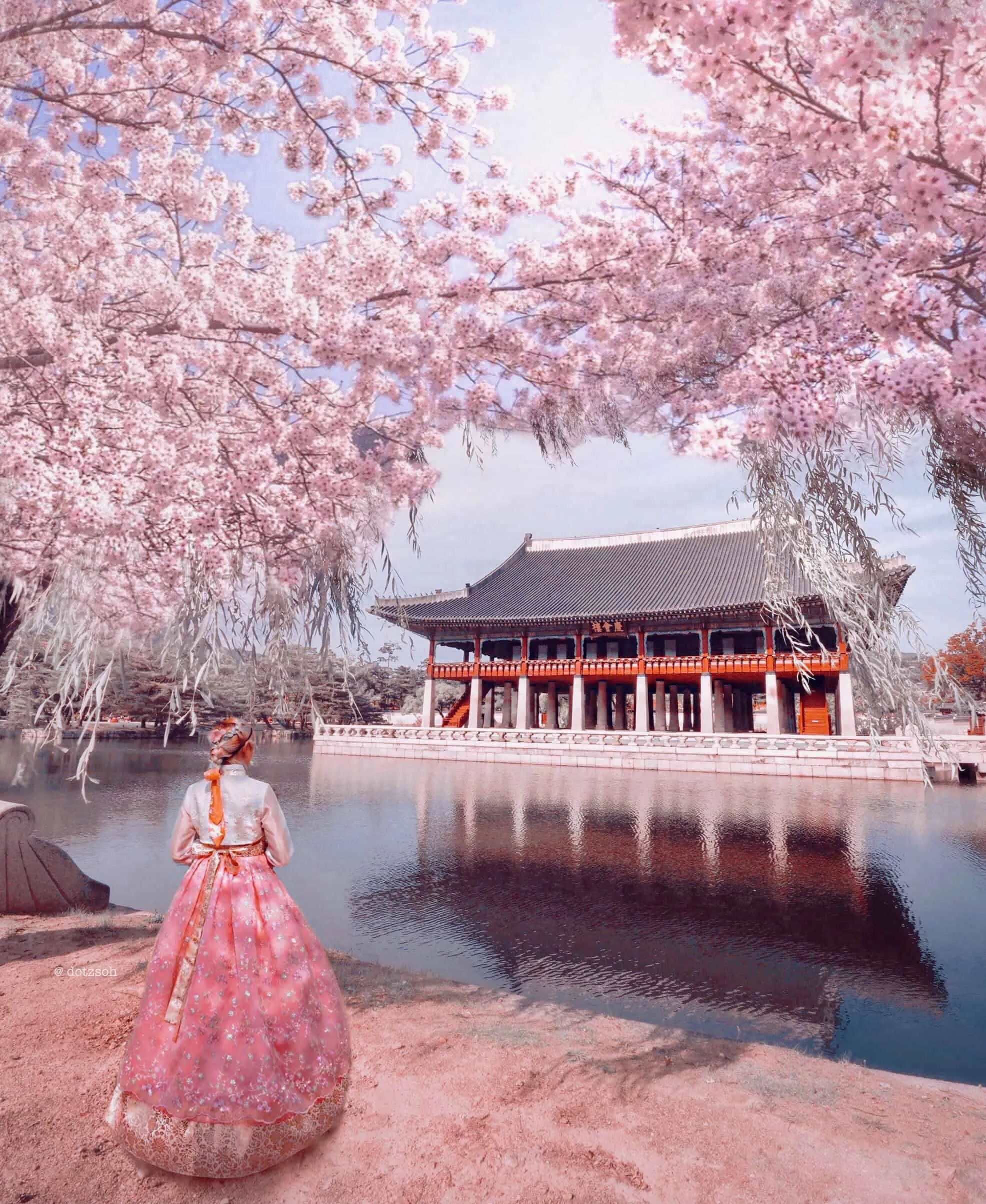 Seasonal Beauty: Gyeongbokgung Throughout the Year