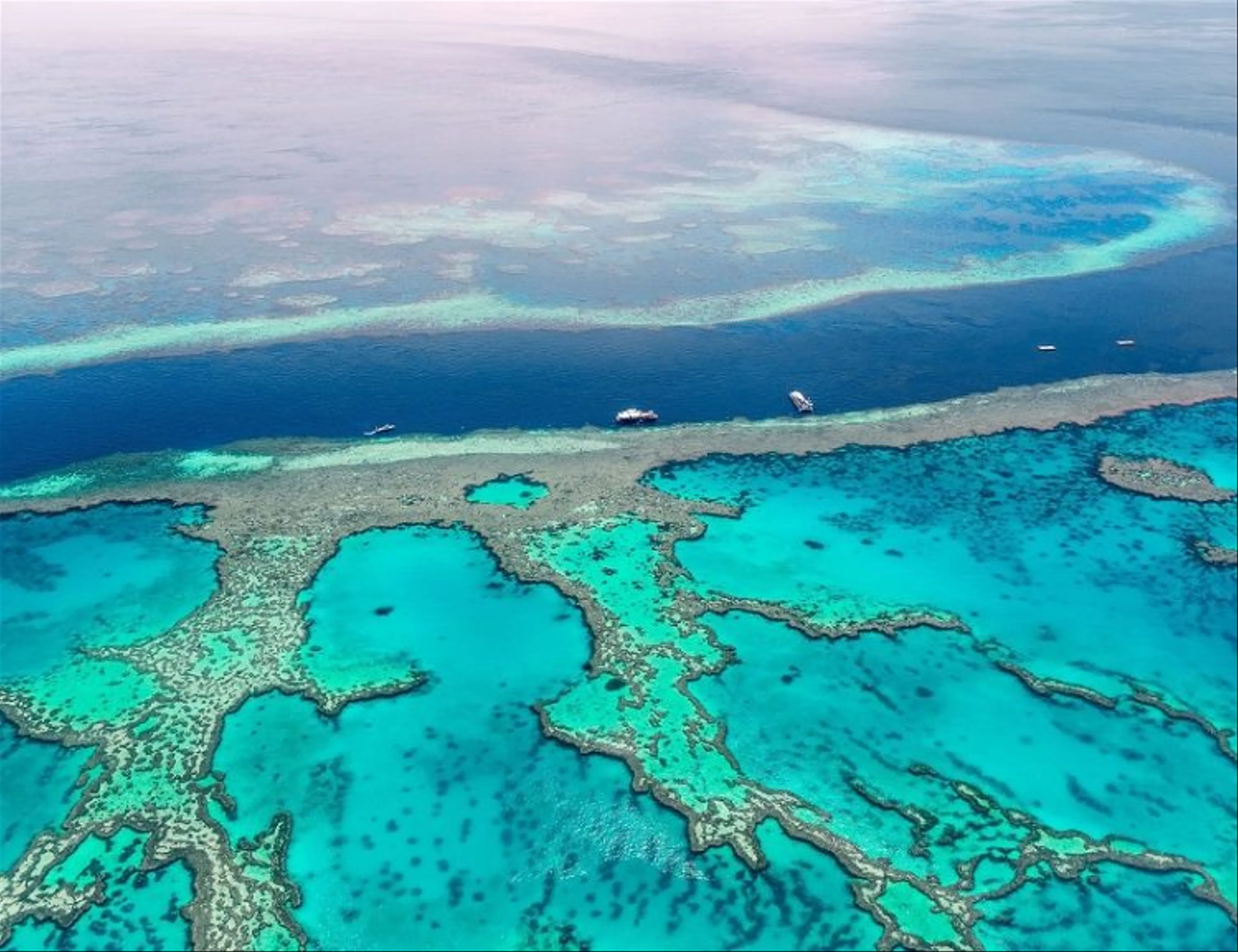 10 Điểm Đến Không Thể Bỏ Qua Tại Great Barrier Reef, Úc