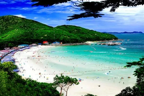 Kinh nghiệm du lịch đảo Koh Larn, Thái Lan: chơi gì, vé tàu?