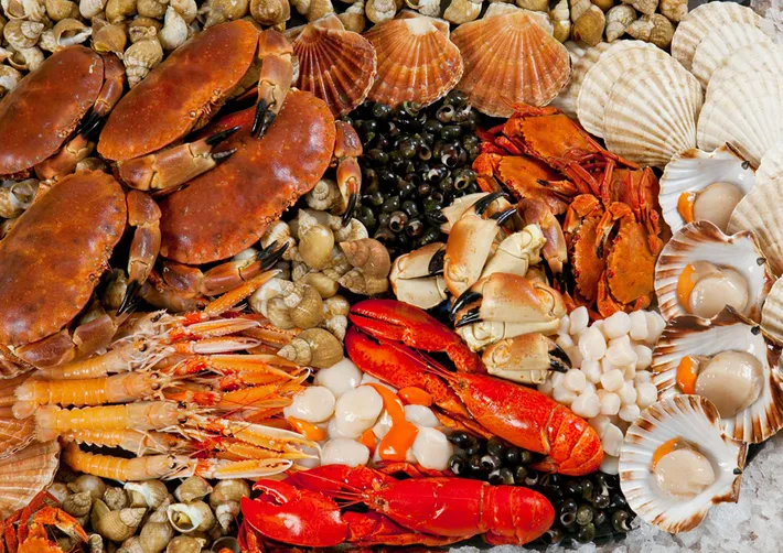 Các loại hải sản đặc trưng tại chợ