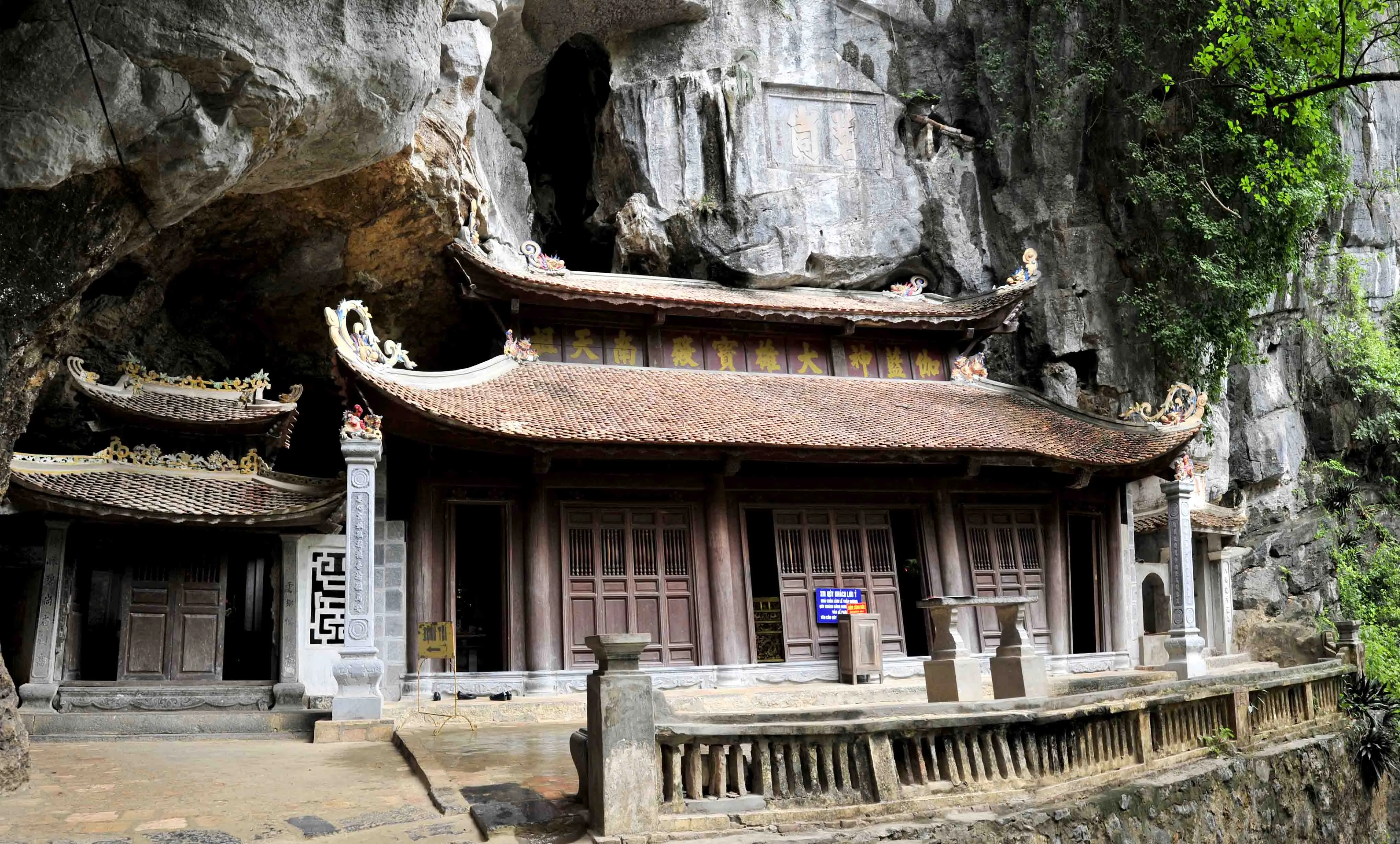 Giới Thiệu Về Bích Động