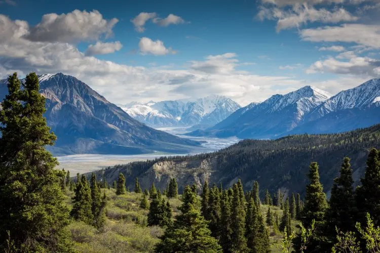 Khám Phá Công Viên Quốc Gia Kluane