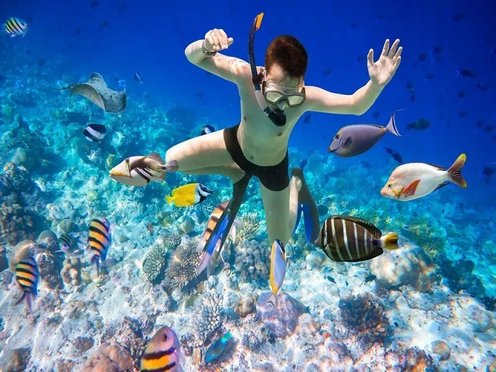 Du lịch vịnh Vân Phong Nha Trang, lặn biển ngắm san hô, ăn hải sản thỏa thích và tha hồ sống ảo