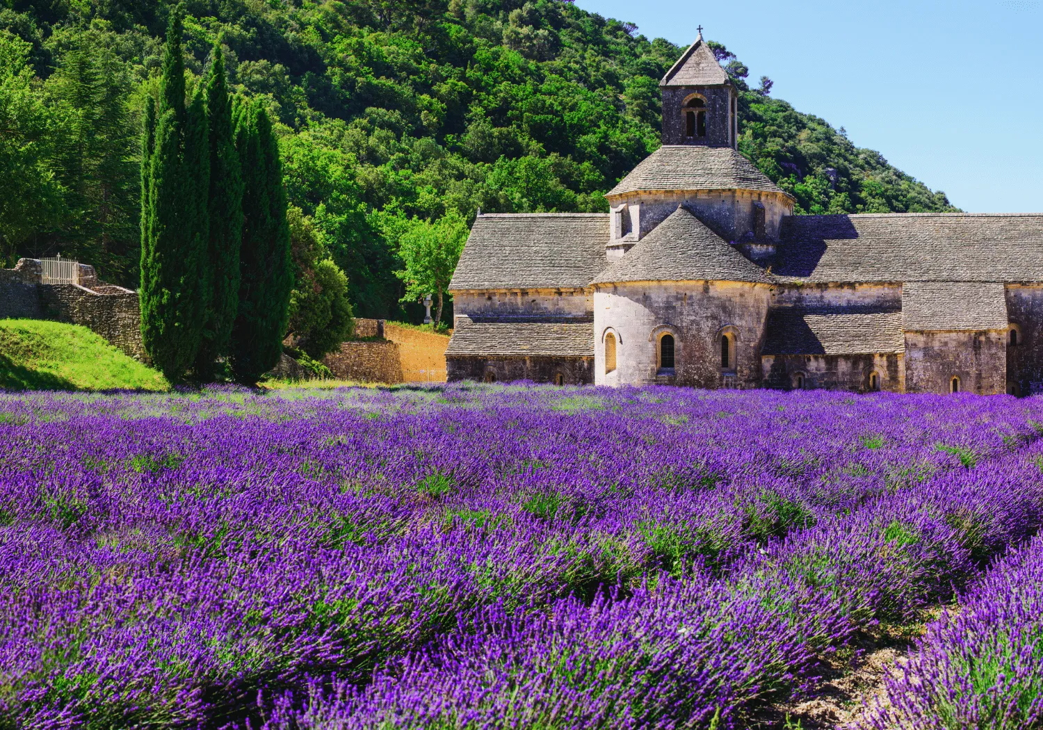 Practical Tips for Traveling to Provence