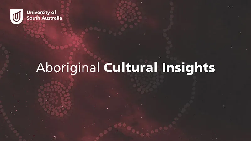 Cultural and Historical Insights