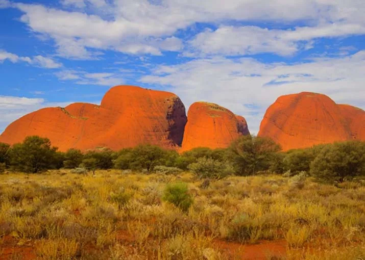 Nearby Attractions: Exploring Kata Tjuta and Beyond