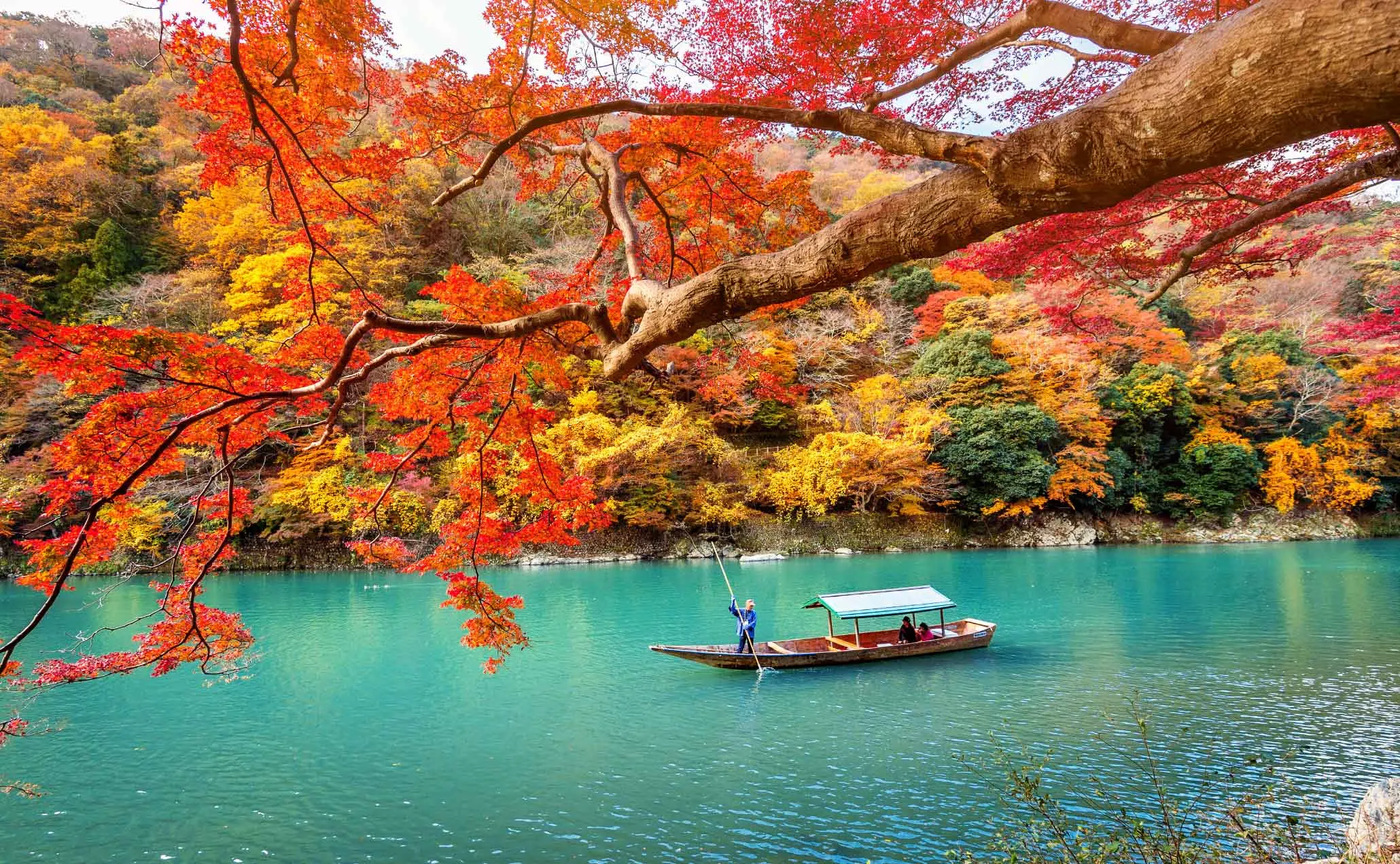 Autumn Foliage: A Seasonal Transformation