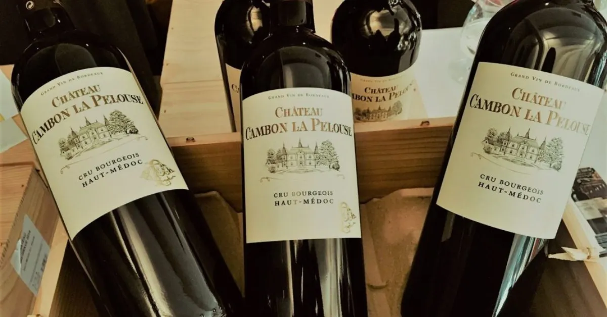 Lịch Sử Và Nguồn Gốc Của Rượu Vang Bordeaux