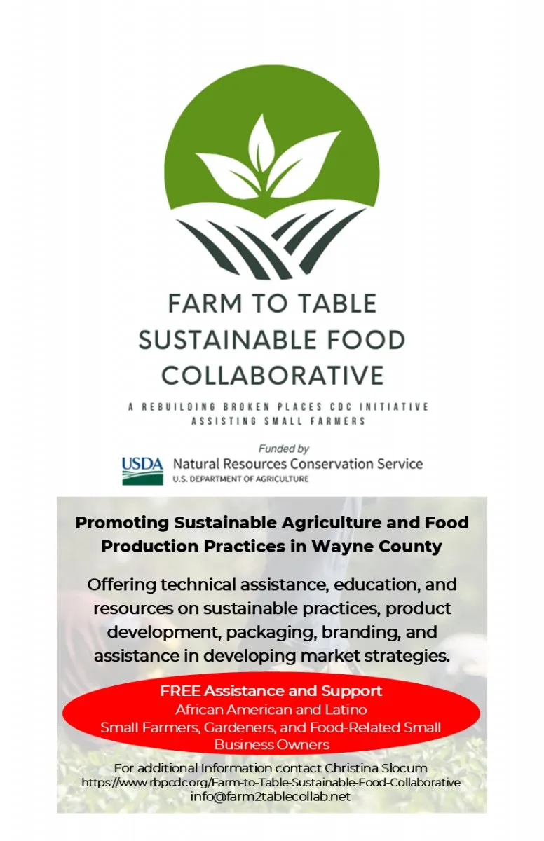 Farm-to-Table: Sustainability in Melbourne's Restaurants