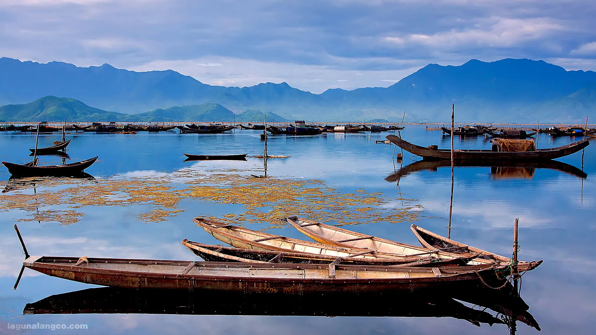 Ẩm thực đặc trưng của làng chài