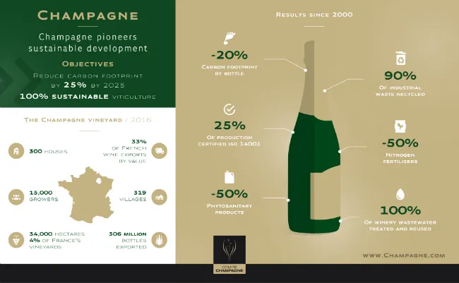 Sustainable Winemaking Practices in the Region