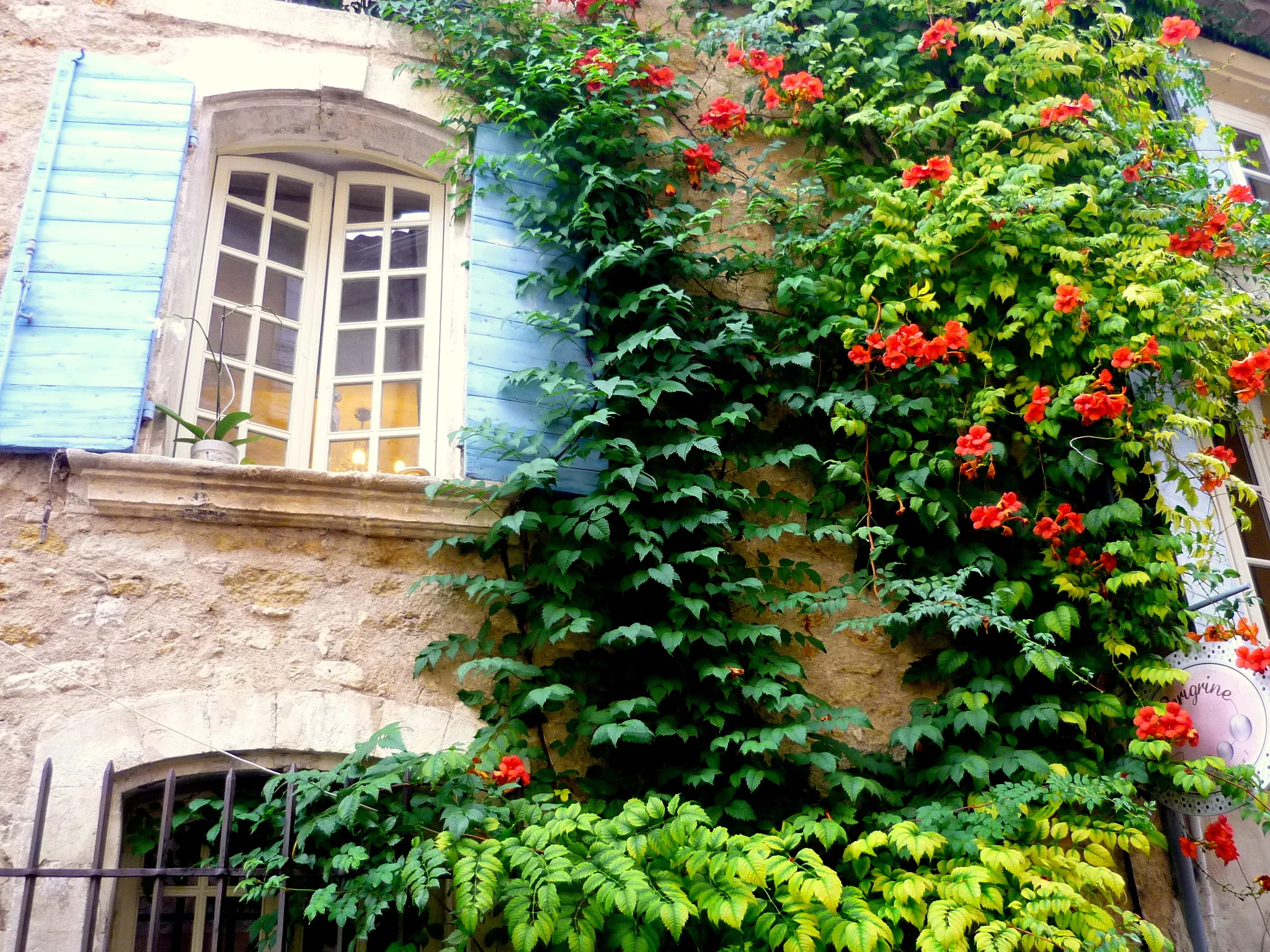 The Rich History and Culture of Provence