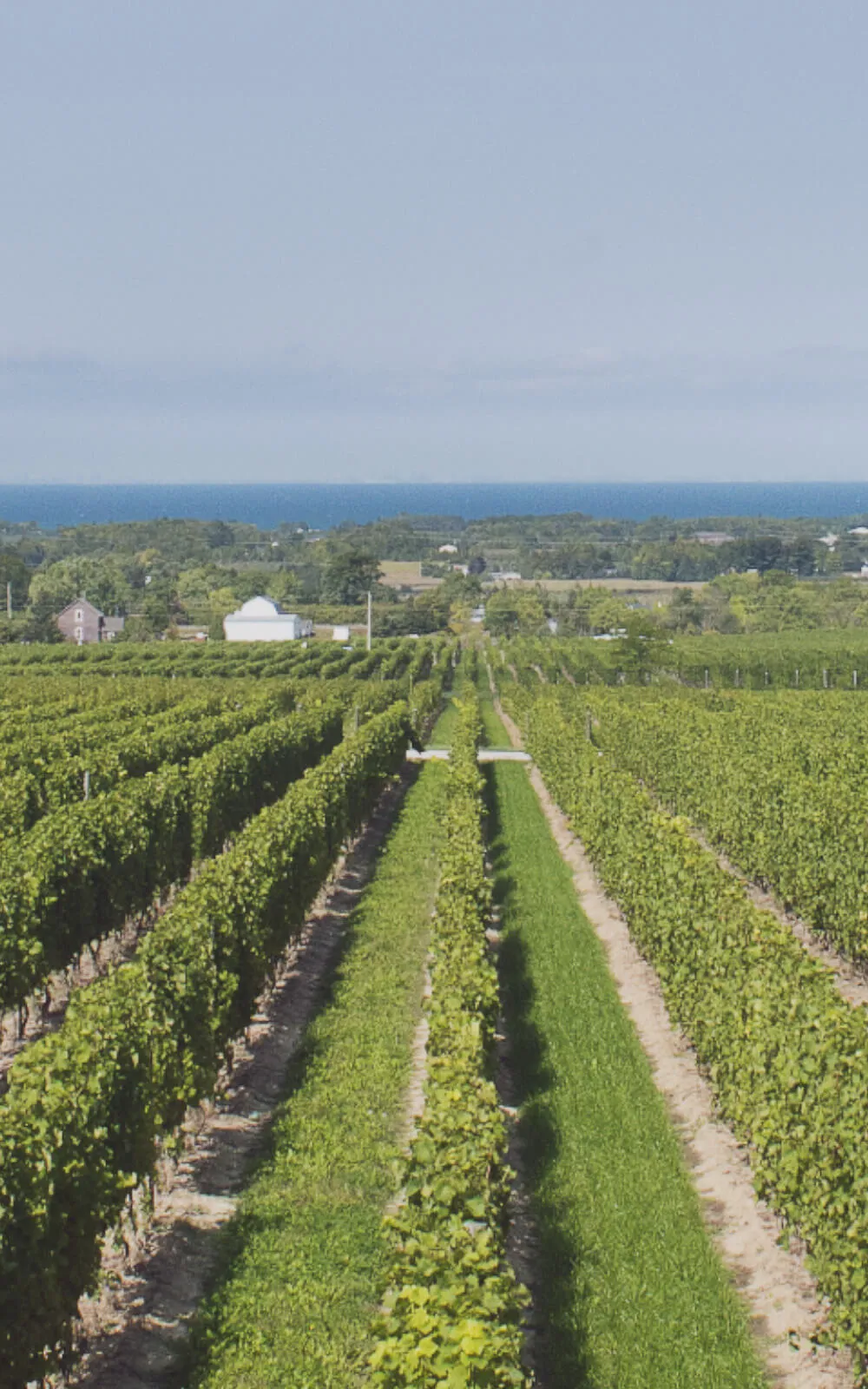 The Unique Terroir and Climate of the Valley