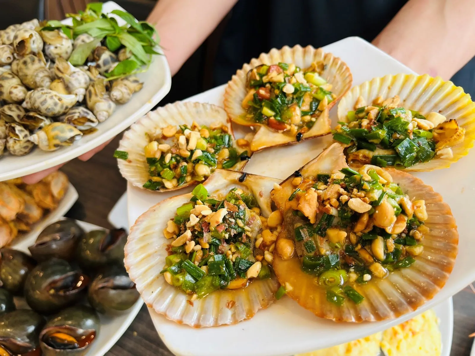 Sò Điệp Nướng Mỡ Hành