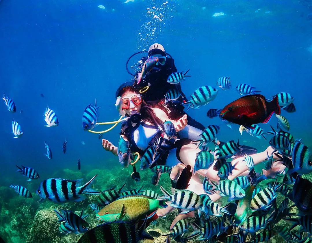 Kinh nghiệm lặn biển Nha Trang chi tiết (giá vé +hướng dẫn) - HaloTravel
