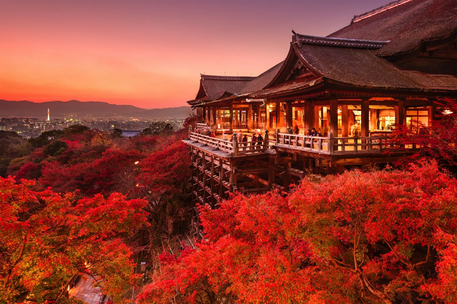 Nearby Attractions: Exploring More of Kyoto's Rich Heritage