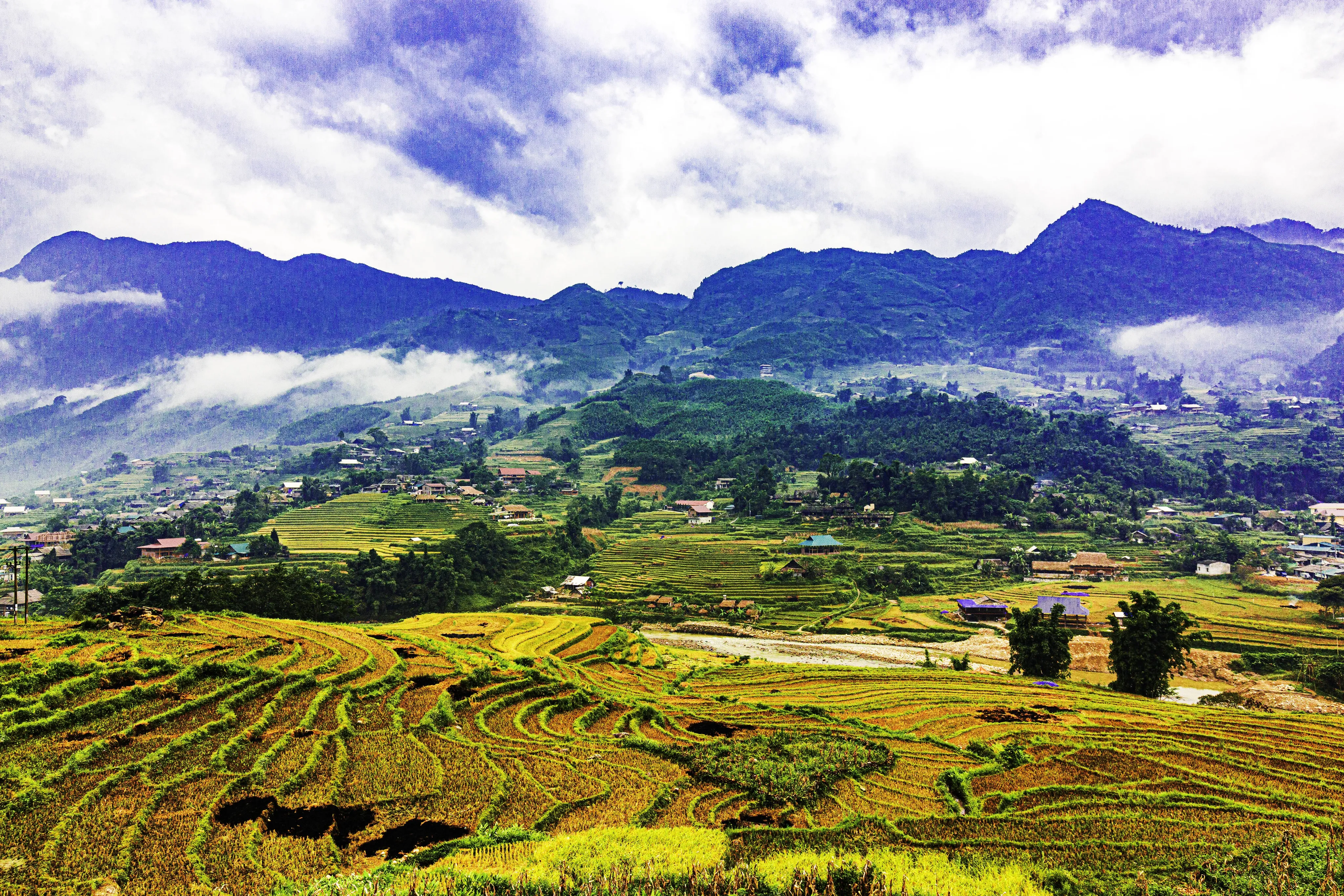 Sa Pa: Vùng Đất Của Sương Mù và Núi Non