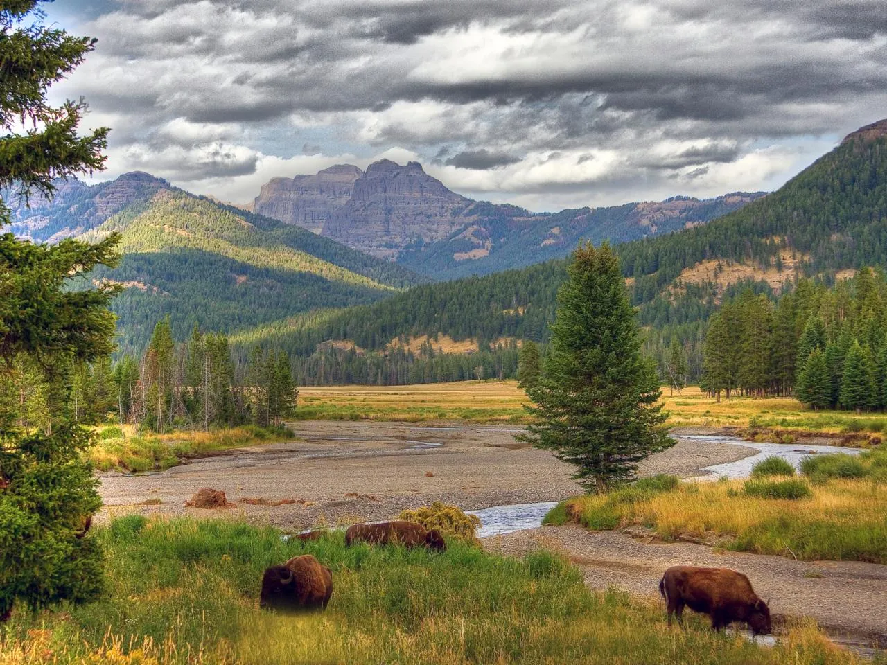 Majestic Landscapes of Yellowstone National Park