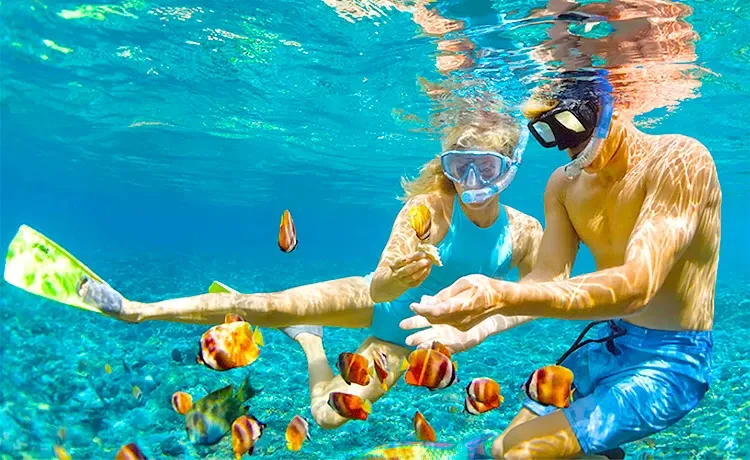 Tour câu cá lặn ngắm san hô Nam đảo Phú Quốc trong ngày ®Hitour