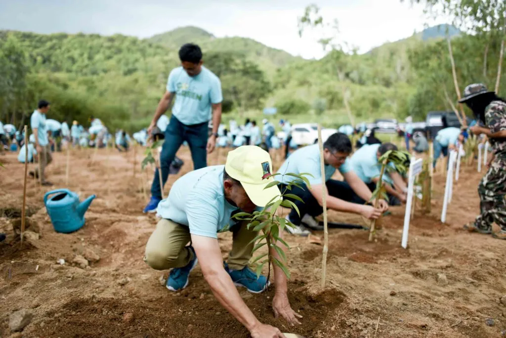 Eco-Friendly Practices and Sustainability Efforts