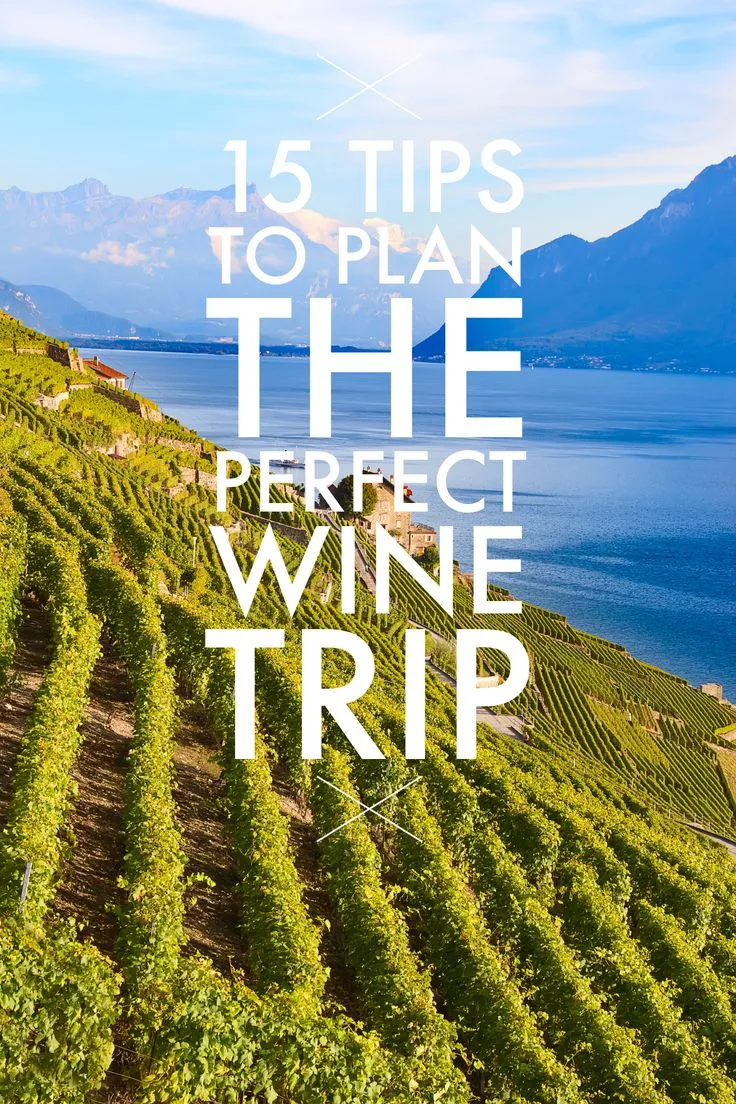 Tips for Planning Your Wine Tasting Journey