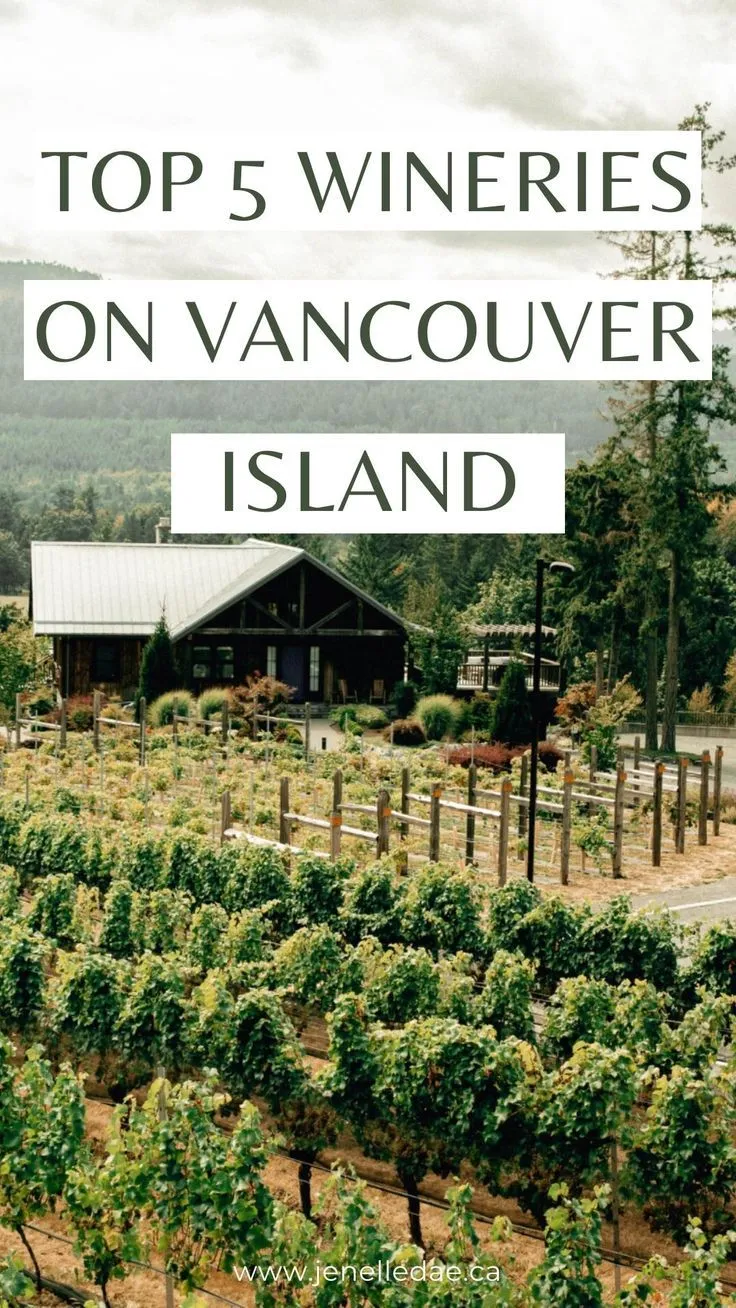 Top Wineries to Visit: From Boutique to Grand Estates