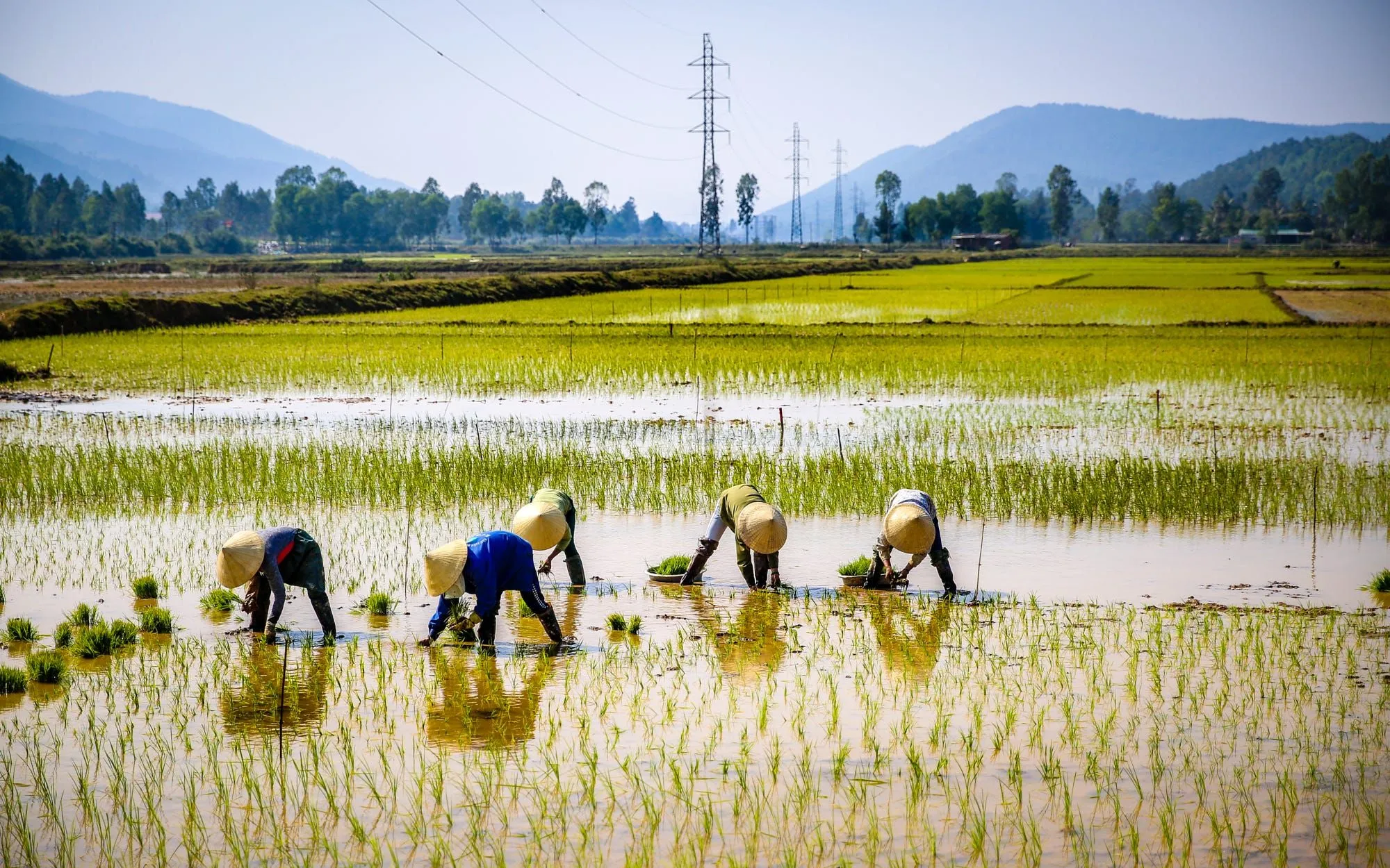Participating in Hands-On Farming Activities