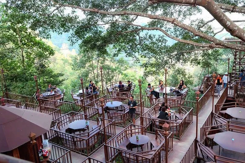 Sustainable Sips: Eco-Friendly Cafes in Chiang Mai