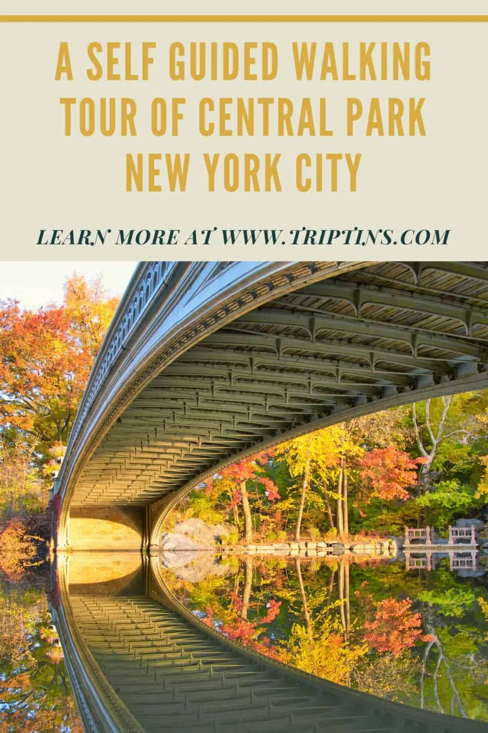 Guided Tours and Self-Guided Walks: How to Explore