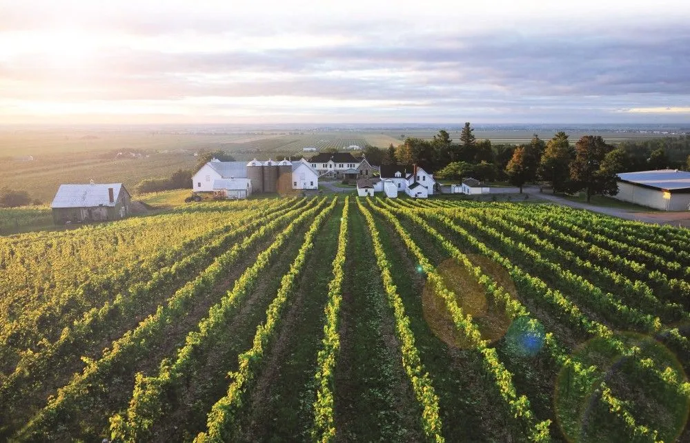 Quebec's Wine and Cider Routes