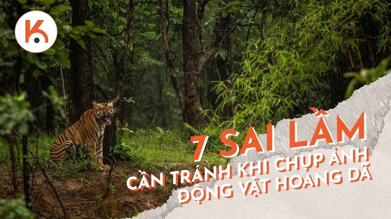 Gặp gỡ động vật hoang dã