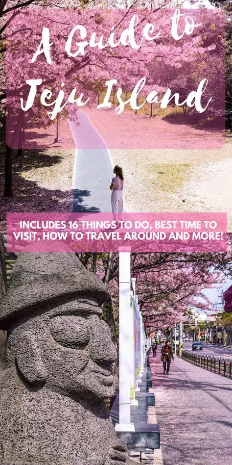 Practical Travel Tips for Visiting Jeju Island