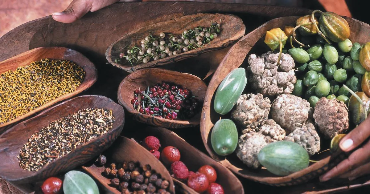 Introduction to Indigenous Cuisine in the Northern Territory