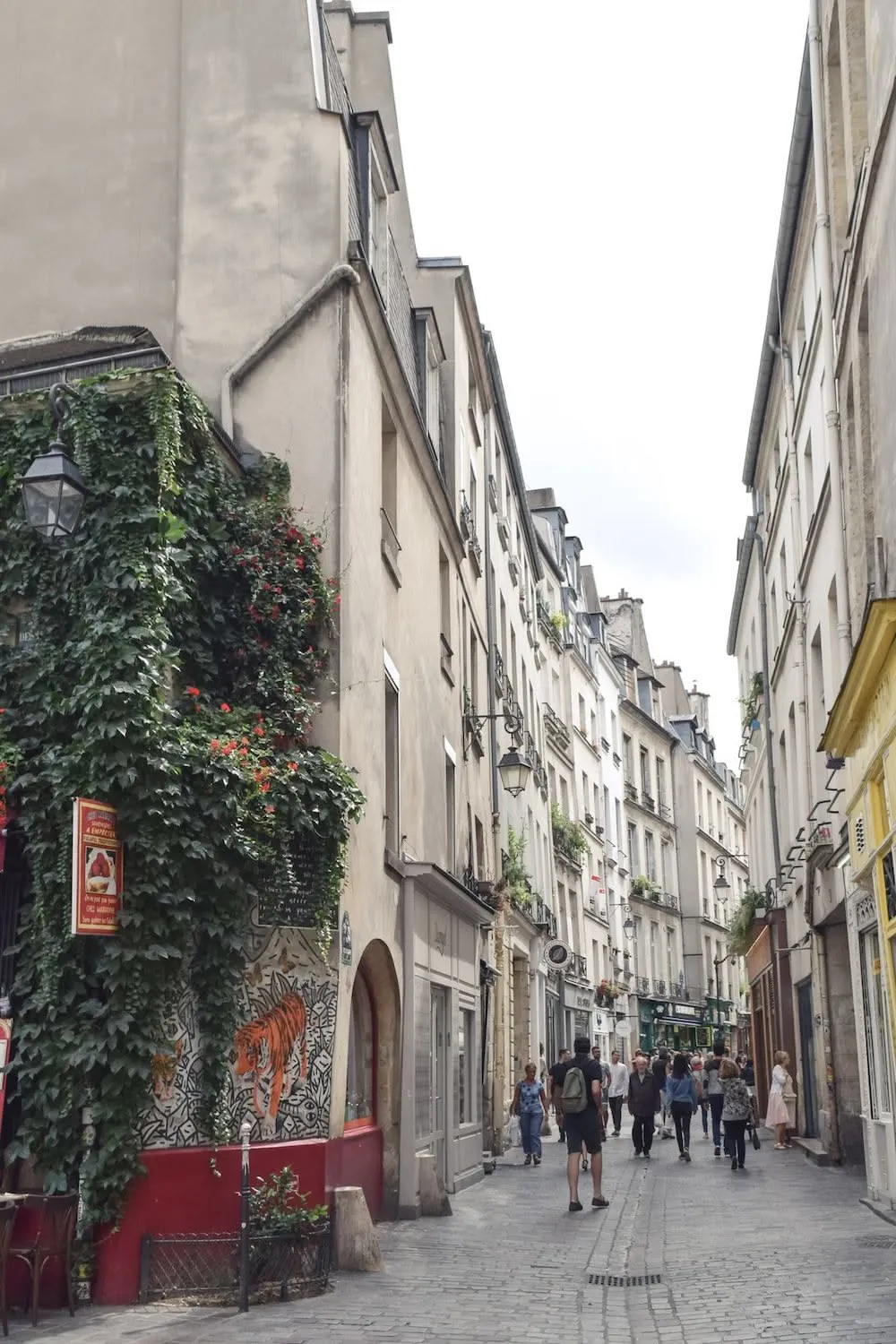 Exploring the Medieval Remnants of Rue des Rosiers