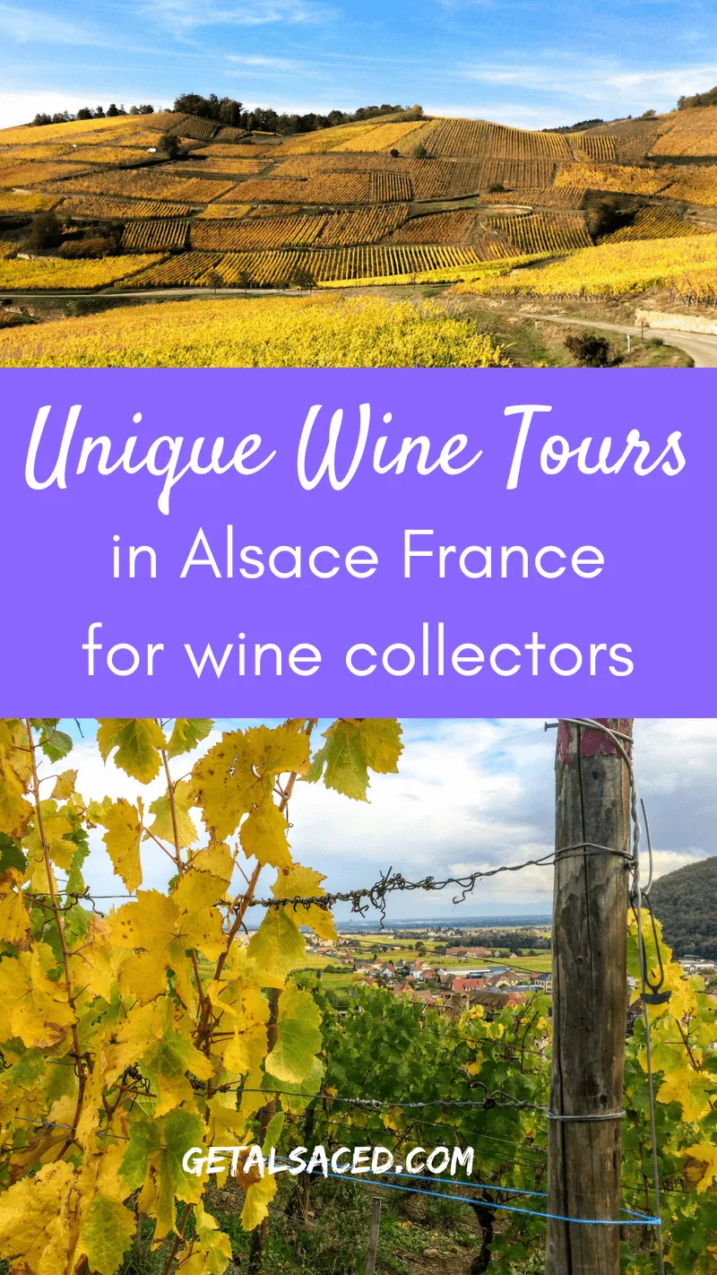Planning Your Alsace Wine Journey: Tips and Practicalities
