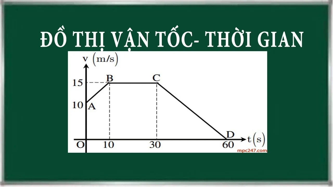 Thời Gian Hoạt Động Và Cách Di Chuyển