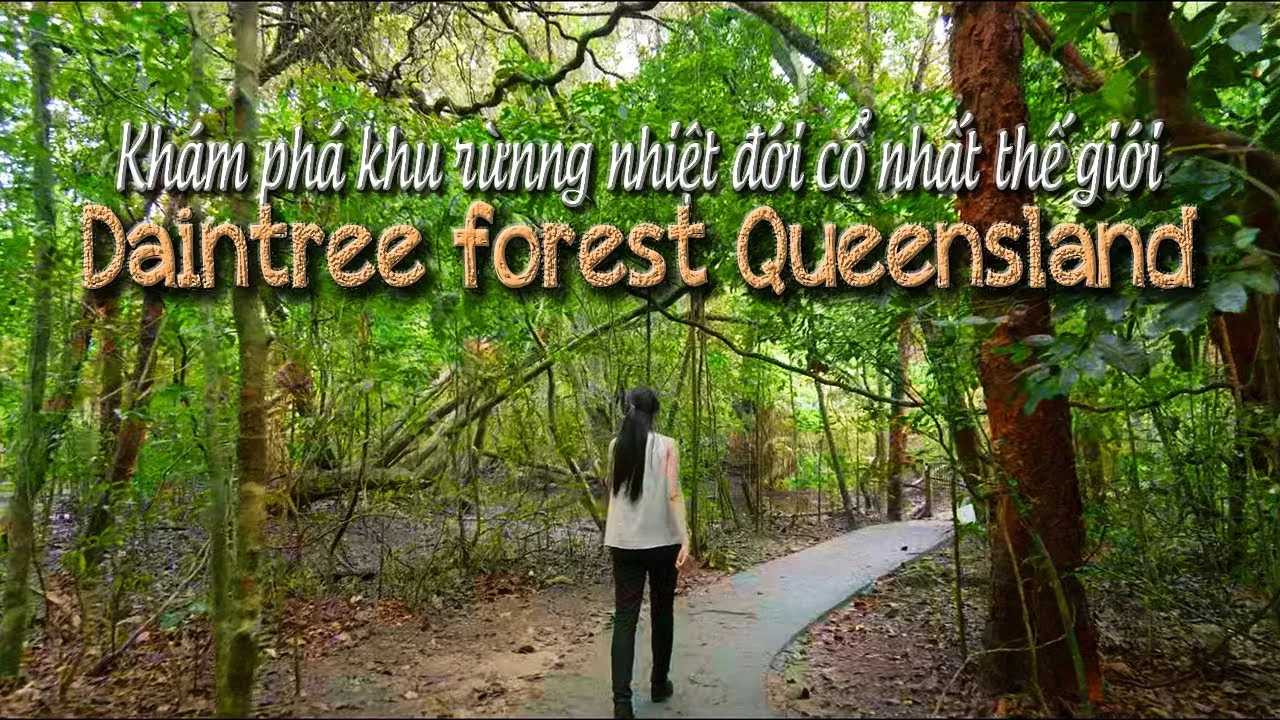 Giới thiệu về rừng nhiệt đới Daintree
